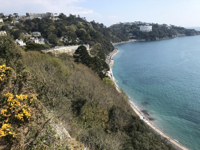 Waves, The Bay, Torquay