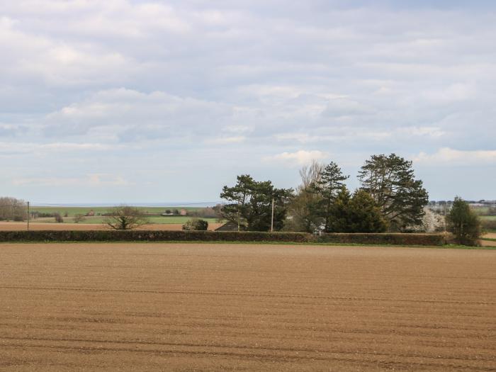 Spinney's Den, Knapton