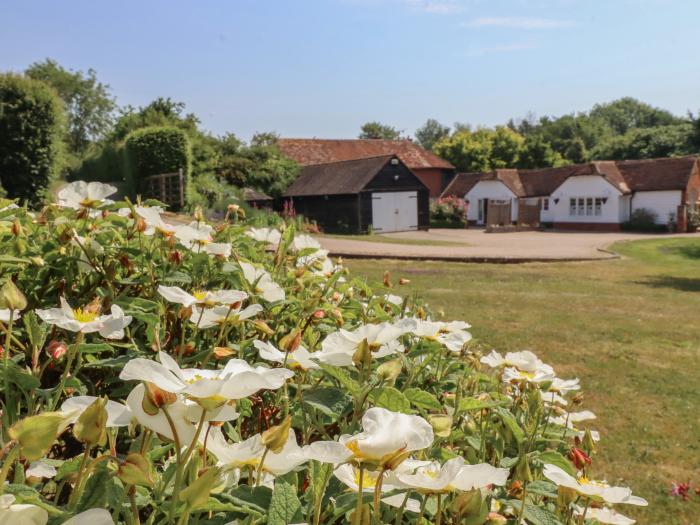 Cottage, Hadlow