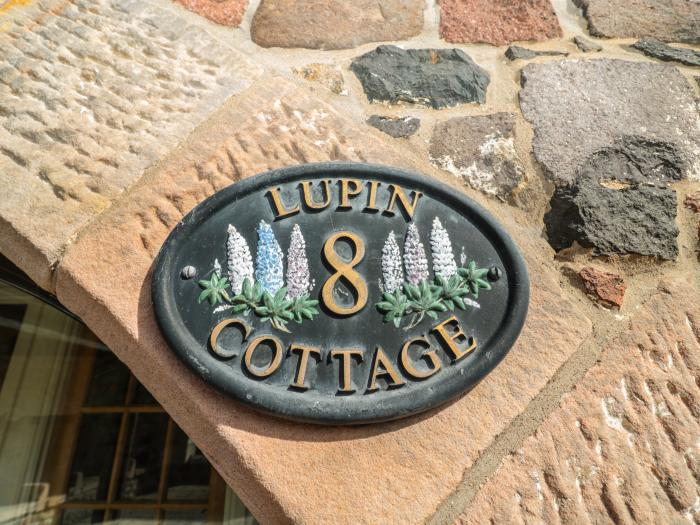 Lupin Cottage, Ewyas Harold