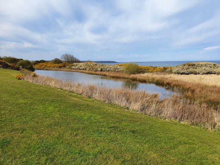 Puffin Cottage, The Bay - Filey