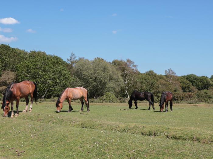 Brook Farm, rests near Ringwood, Hampshire. Four-bedroom home set rurally. Woodburning stove. Large.