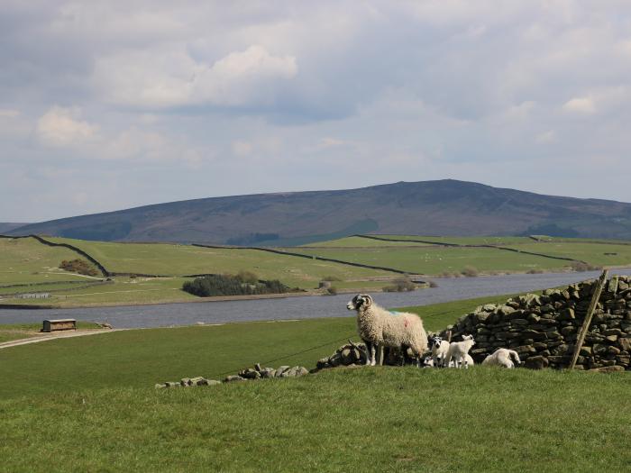 Greenfield Cottage, Oakworth