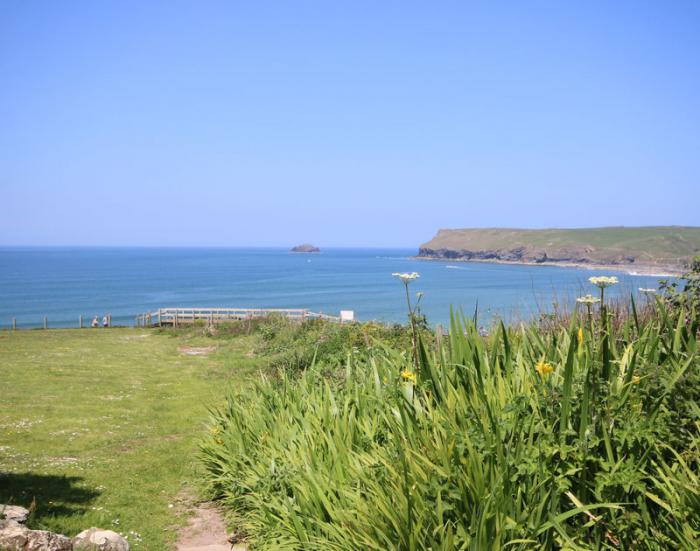 Gullsway: Kittiwake, Polzeath