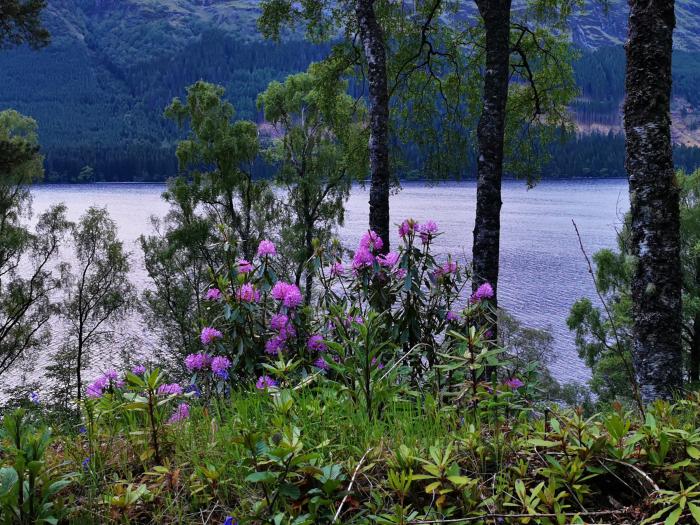 Lochside, 1 The Corries, Spean Bridge