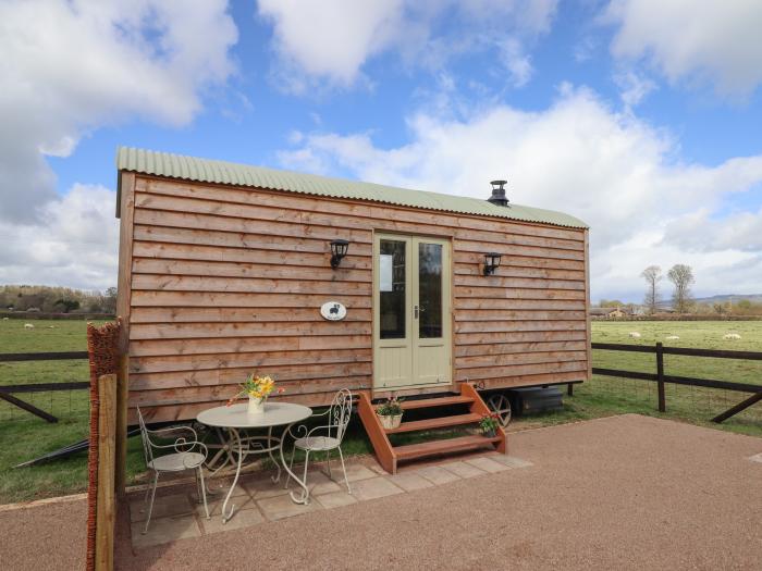 Balwen Hut, Berriew