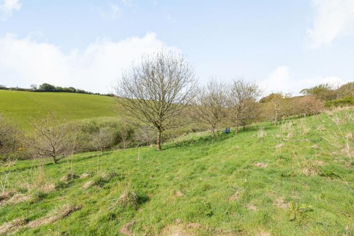 Oak Cottage, North Molton