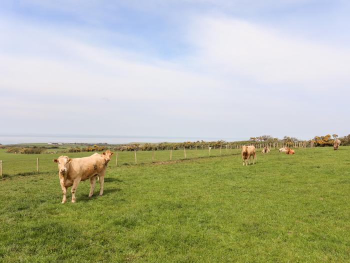 Congl Cae, Aberdaron