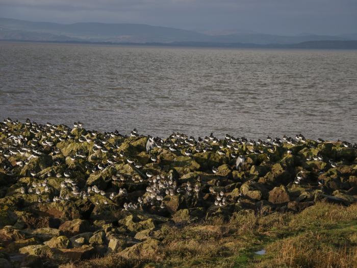 West End Bay in Morecambe in Lancashire. Pet-friendly. Smart TV. Close to beach and shops. Near AONB