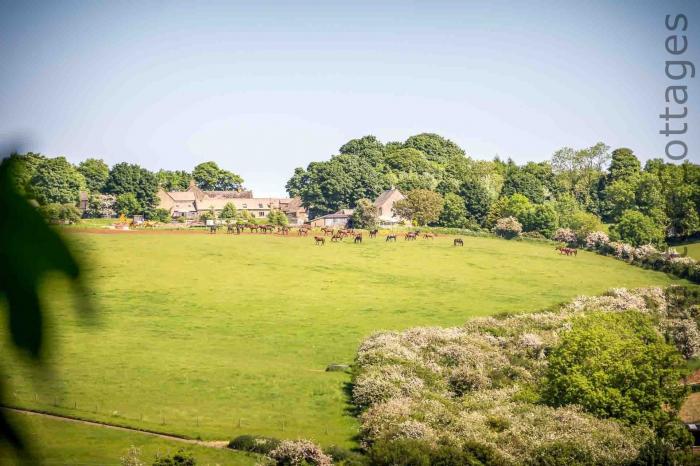 Oyster Barn, Naunton