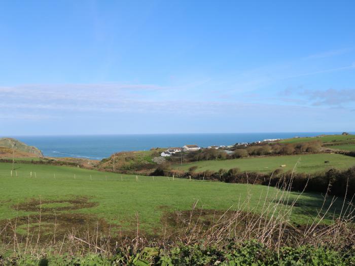 Grainstore, Tintagel