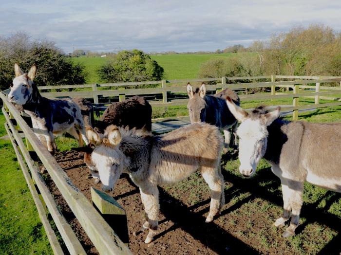 Ballymac 3, Kilmuckridge, County Wexford