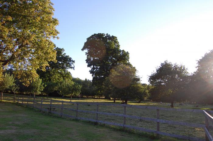 Dinefwr, Llandeilo