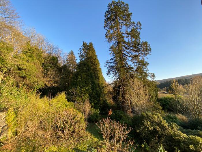 Stables Cottage, Langholm