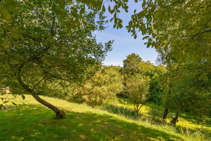 Kingfisher Cottage, Bradworthy