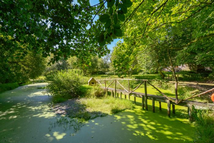 Kingfisher Cottage, Bradworthy