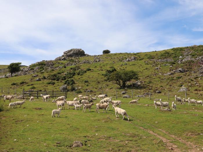 Cwm Ceiliog Annex, Trefor