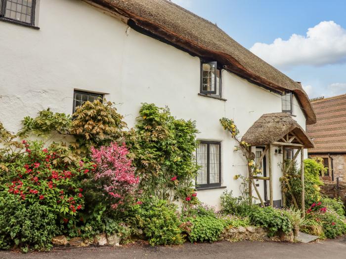 Rose Cottage in Holcombe, Teignmouth