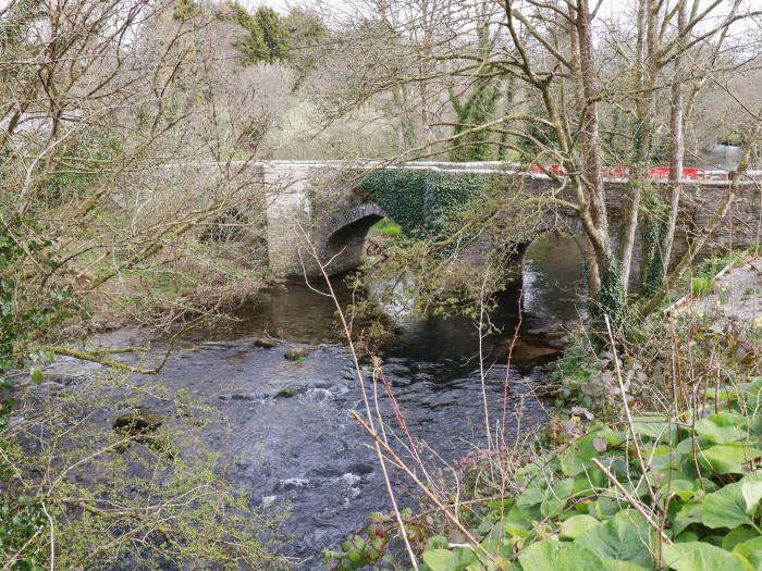 Primrose, Bodmin