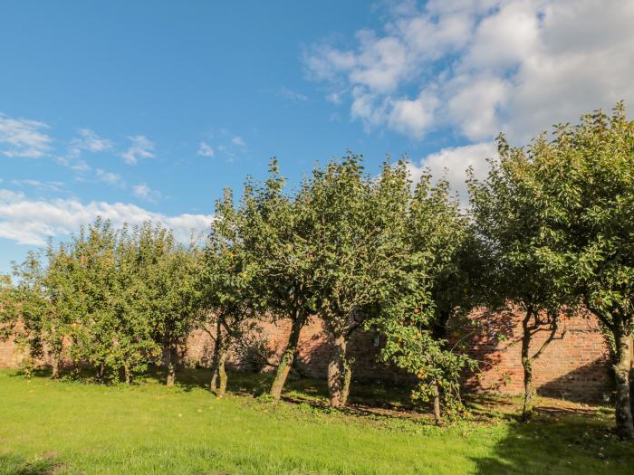 Orchard Cottage, Amble