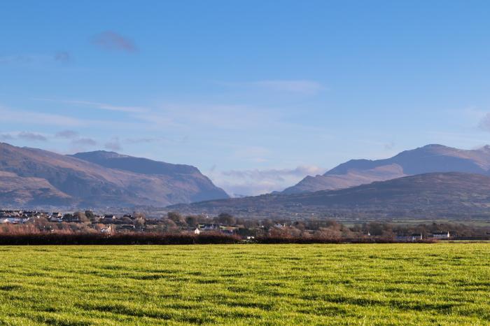 Yr Erw, Llangefni