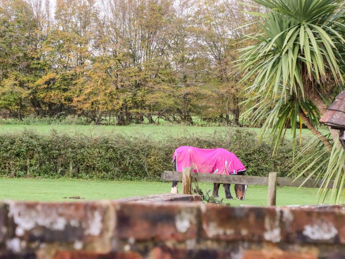 The Little Lodge, Broad Oak