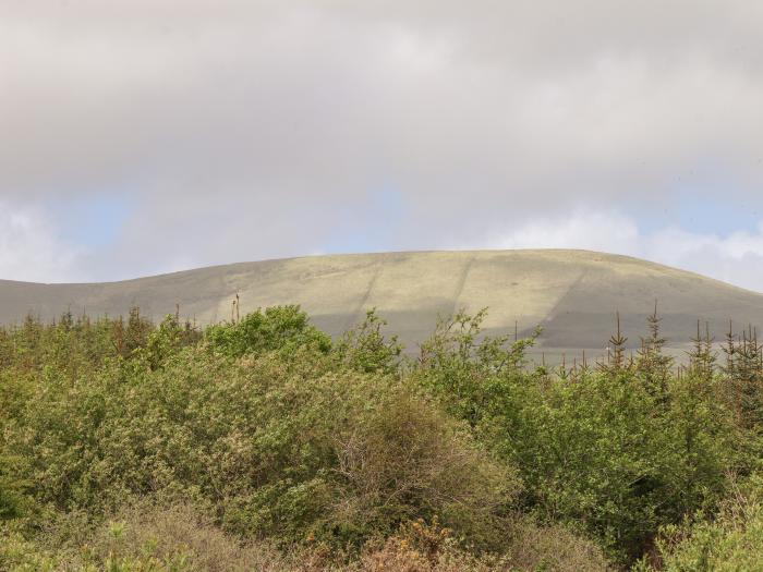 Forest View, Ballinskelligs, County Kerry