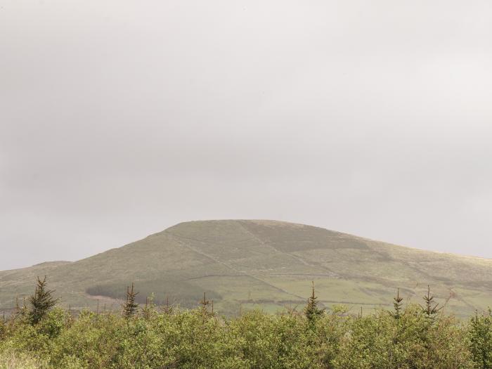 Forest View, Ballinskelligs, County Kerry