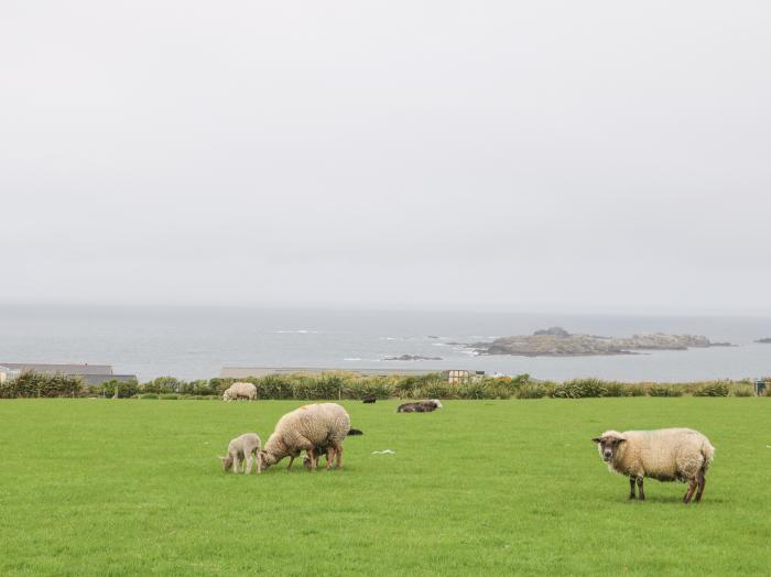 Sparkling Waters is near Ballygorman, in County Donegal. Three-bedroom bungalow with enclosed garden