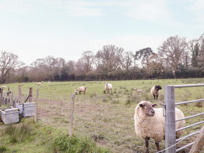 Ghyll Park Farm, Horam