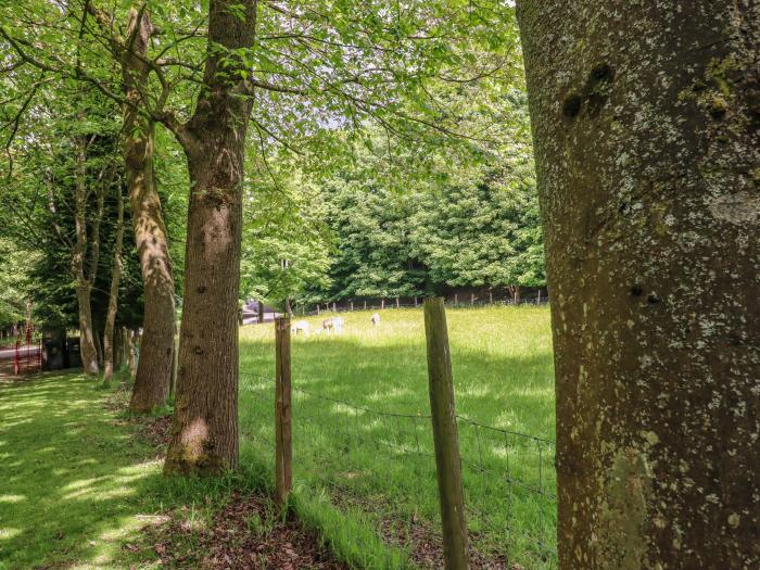 Hidden Oasis, Whins Wood