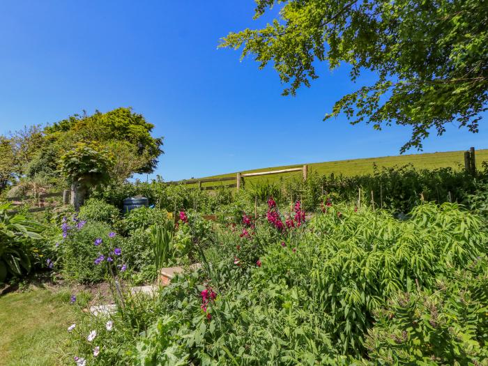 Ladylands Cottage, Shorwell