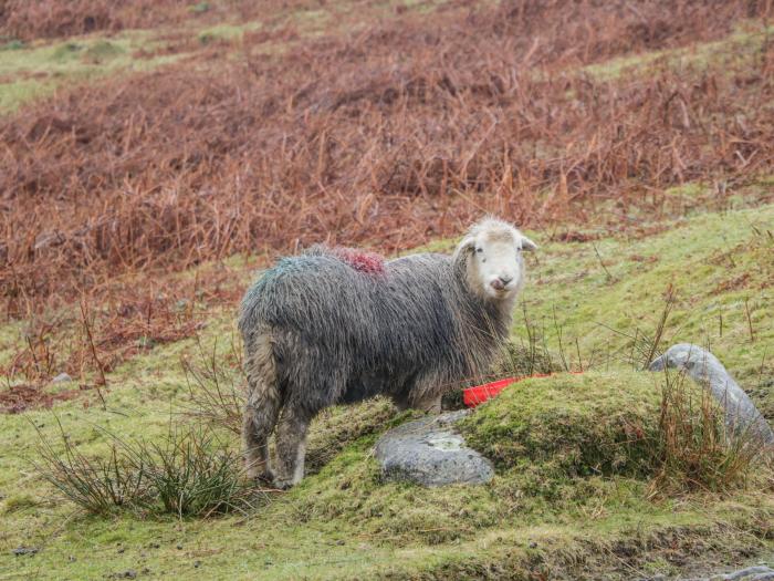 Barbondale, Kirkby Lonsdale