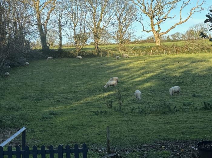 Wood Brook Cottage, Crowan