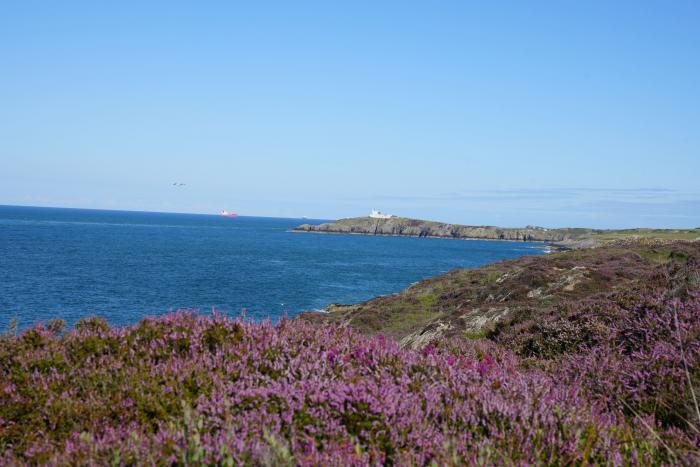 Royal Oak Cottage, Amlwch Port