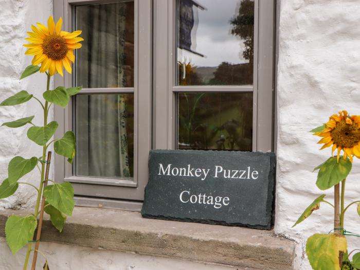 Monkey Puzzle Cottage, Sedbergh