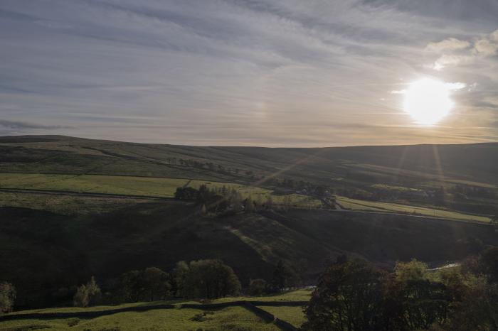 Chestnut, Alston