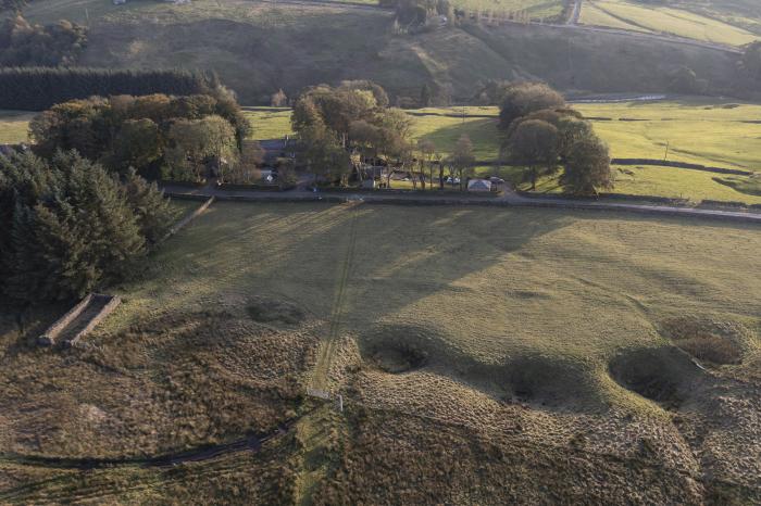 Chestnut, Alston