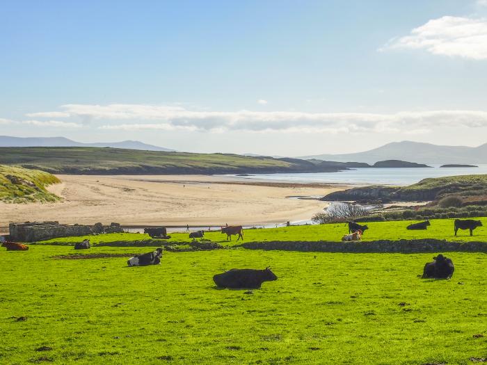 Morlais (Voice of the Sea), Aberffraw