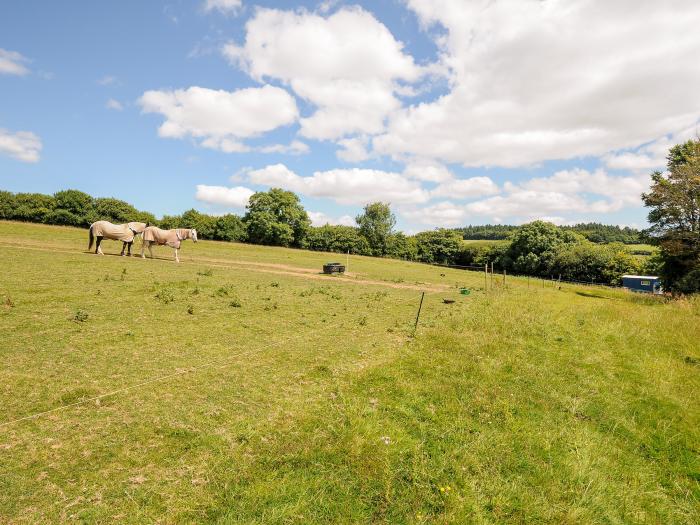 Shepherds Hut, Lostwithiel