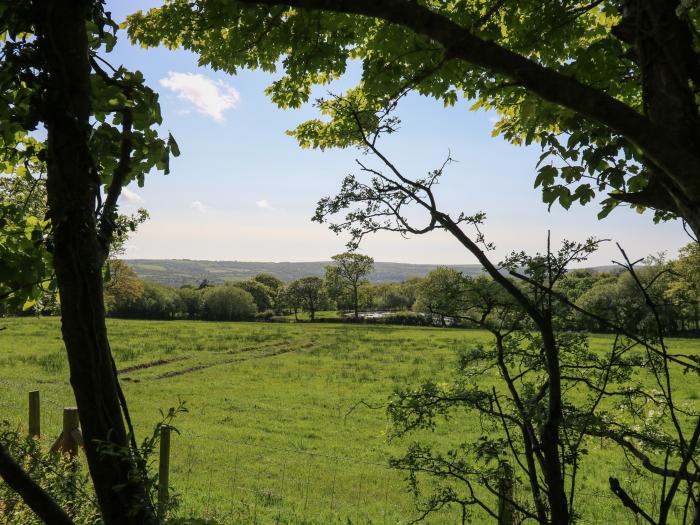 Cattle Tree Cottage near Cardigan, Ceredigion. Wood-fired hot tub. Pet-friendly. Off-road parking.