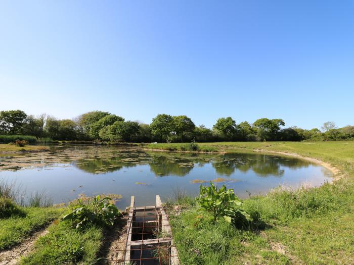 Cattle Tree Cottage near Cardigan, Ceredigion. Wood-fired hot tub. Pet-friendly. Off-road parking.