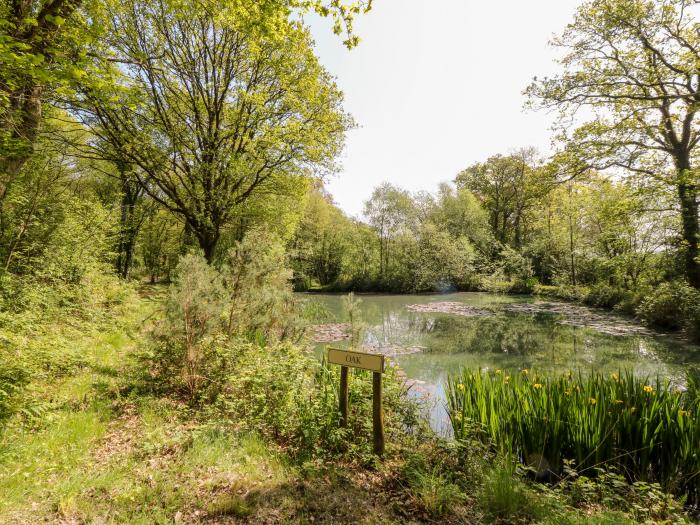 Woodpecker Lodge, Sheepwash