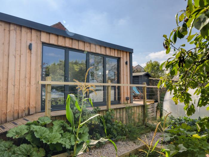 The Garden Studio, Colyton, Devon