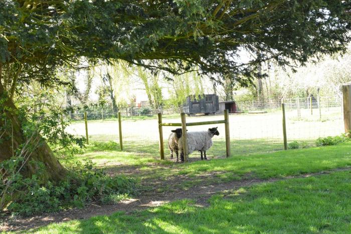 Yew Tree Farm Barn, Worlingworth, Framlingham