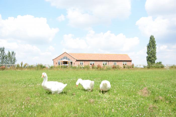 The Mulberry, nr Bungay, Bungay