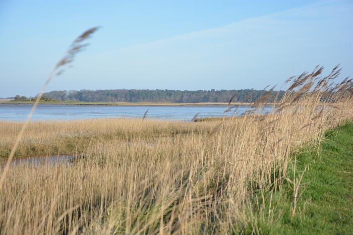 Meadowsweet, Blythburgh, Reydon