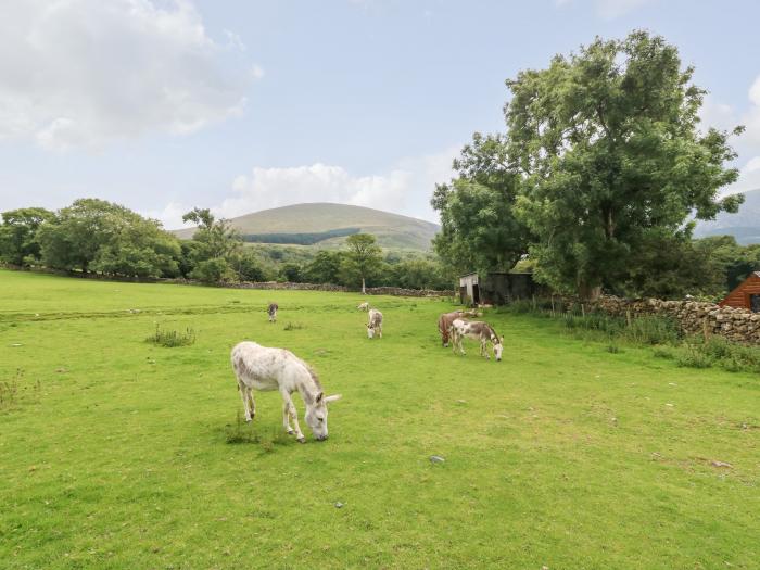 Gwel y Moel, Waunfawr