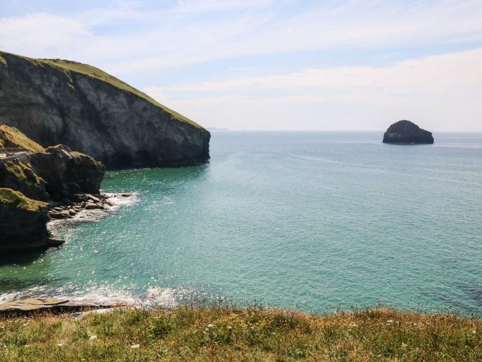 Salty Sea dog, Tintagel