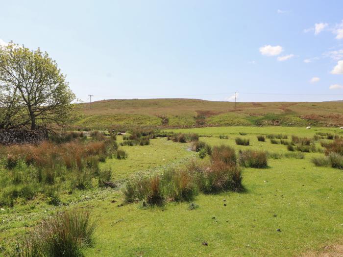 White House, Shap